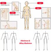 New Arrived 150Cm Elves Face Doll Sex Silicone Tpe Big Boobs Sex Doll produced by AUTOMATICWOMAN